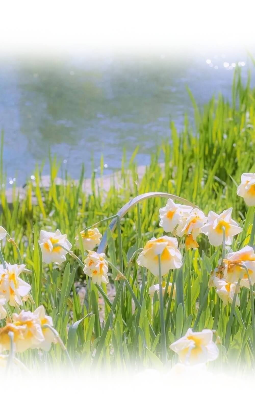 分类-内容运营-知归