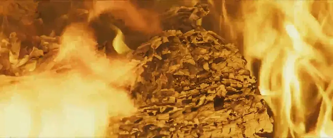 20251108205923982-image