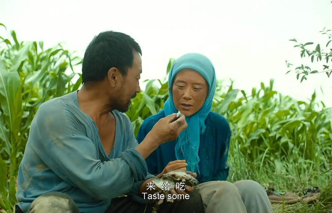 在线免费追剧：攥着半颗馍看完《隐入尘烟》，才懂苦日子里的甜有多烫心-知归