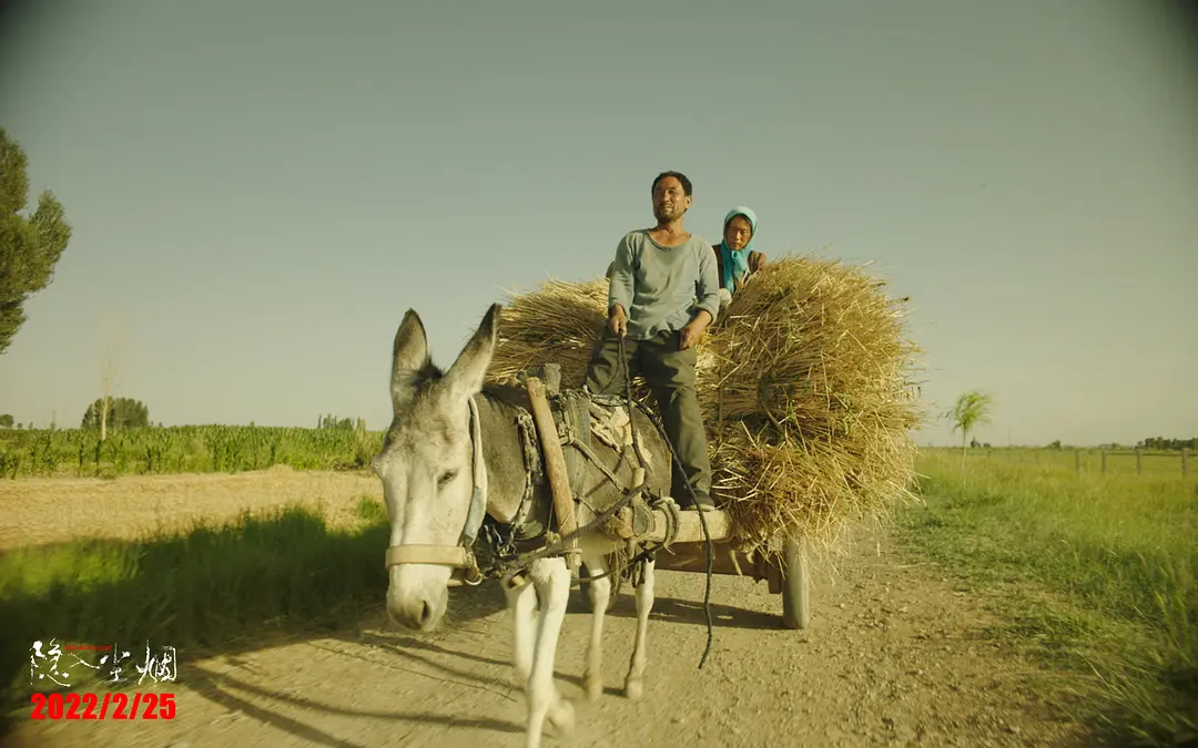 在线免费追剧：攥着半颗馍看完《隐入尘烟》，才懂苦日子里的甜有多烫心-知归