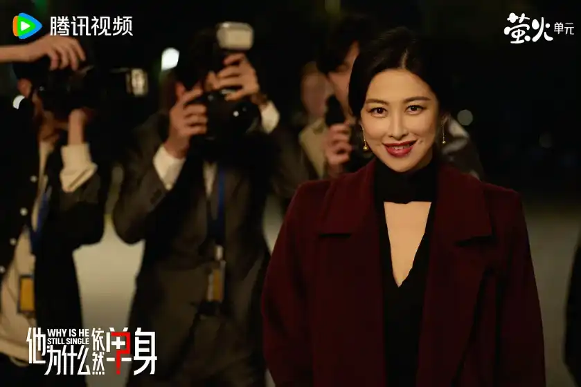 在线免费追剧：《他为什么依然单身》_单身不是没人爱，是不想凑活-知归